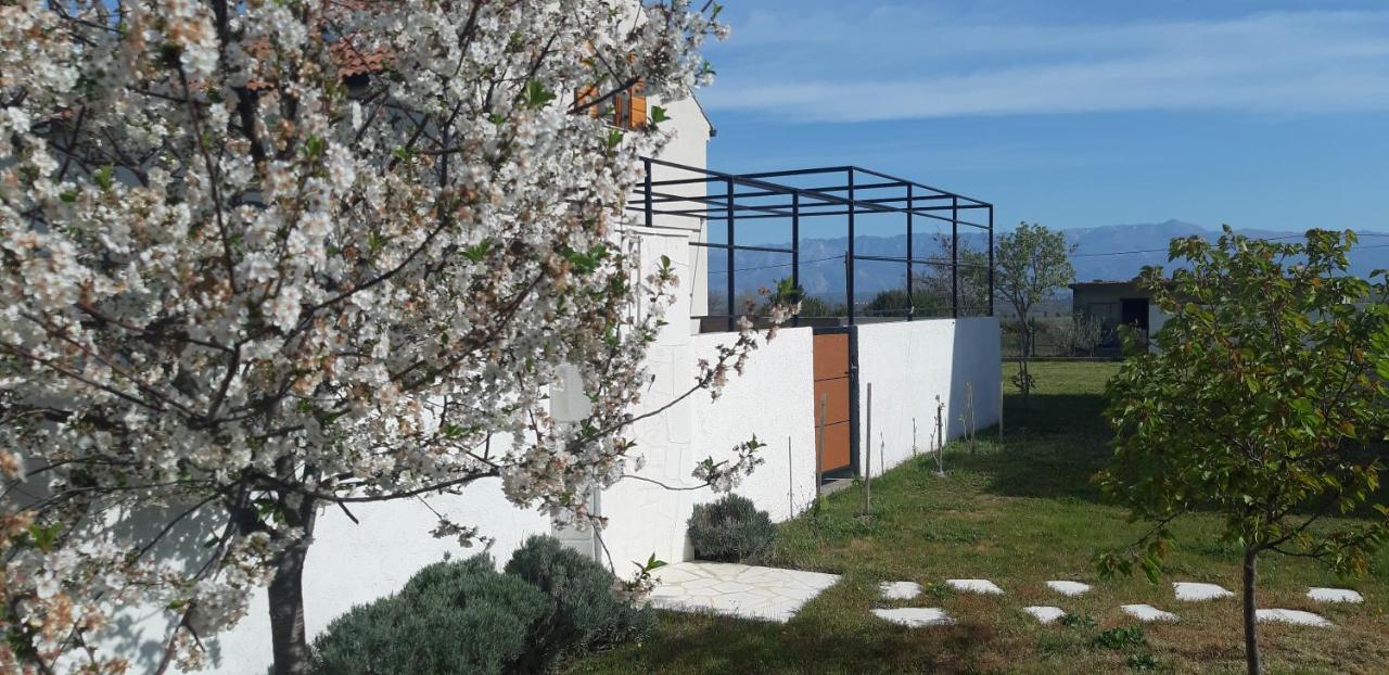 Vila Pan Zadar Eksteriør billede