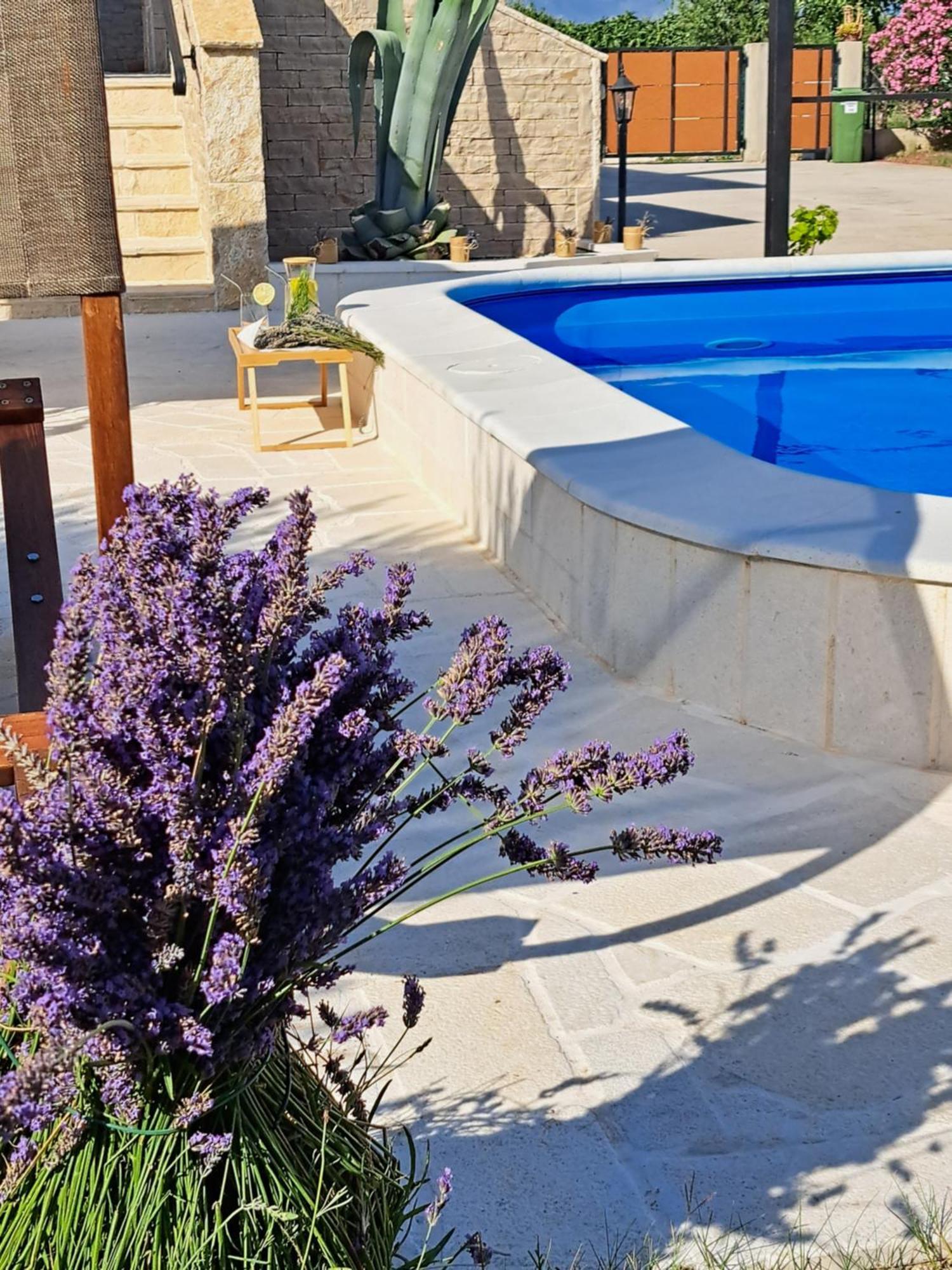 Vila Pan Zadar Eksteriør billede